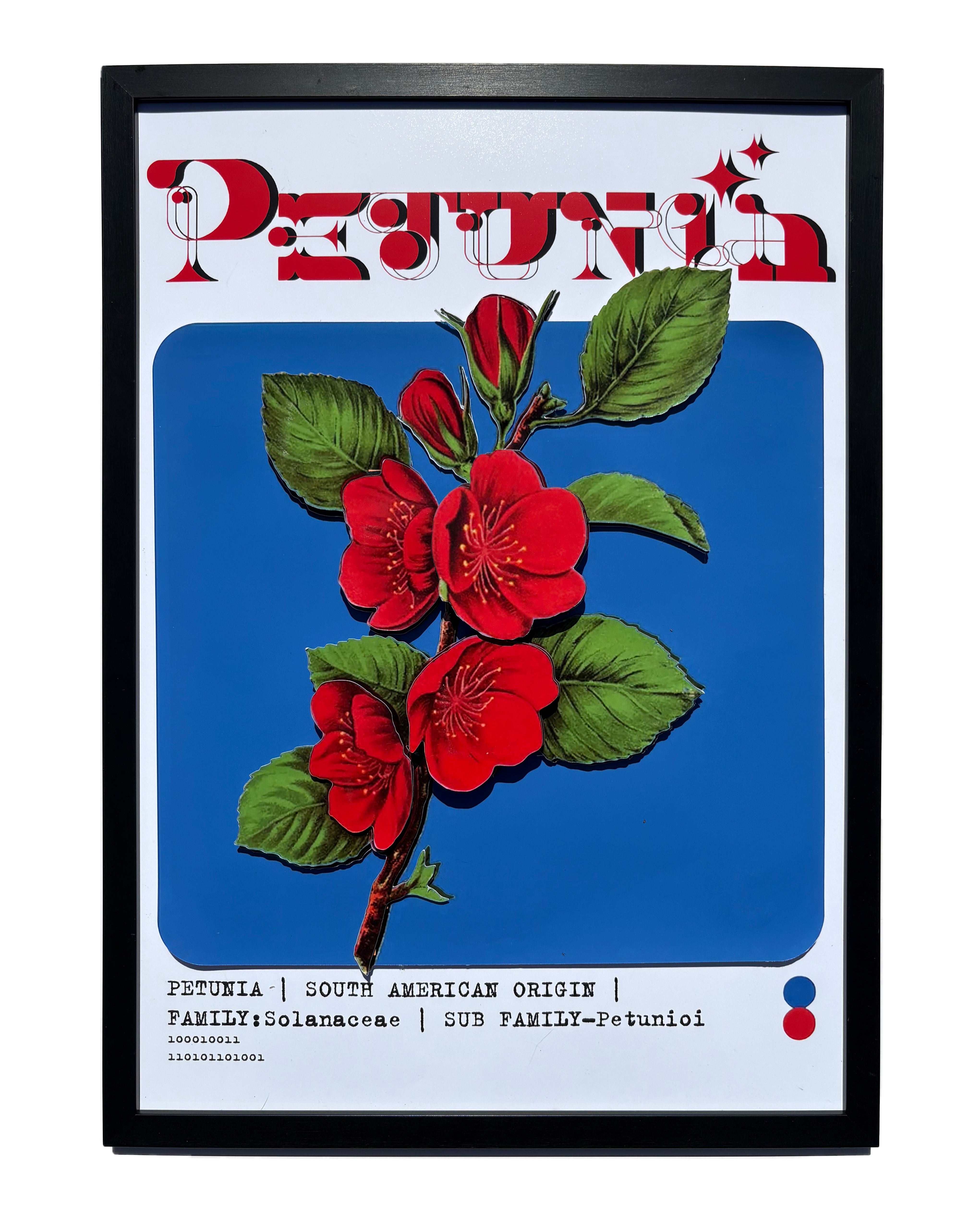 Petunia